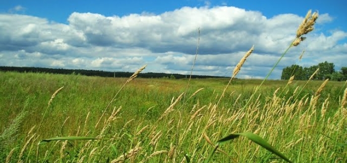 mordovia landscape